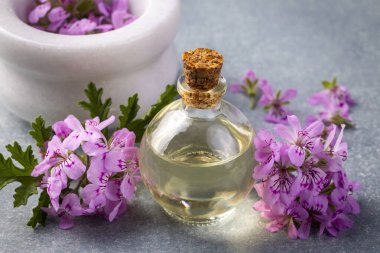 Pelargonium çiçekleri ve temel pelargonyum yağını mezarlığa yerleştirir