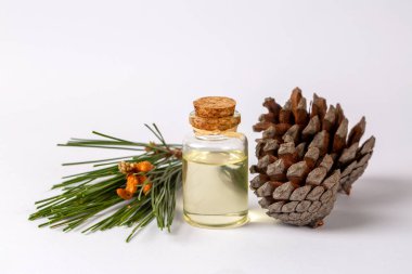 Cam şişedeki çam yağı, kozalaklı yapraklar ve çam kozalağı. Kiefer terebentin