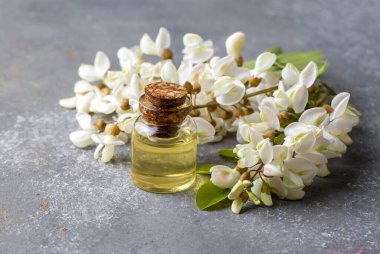 Robinia (sahte akasya) esaslı yağ (çare, özü) şişesi taze akasya çiçekleri ile