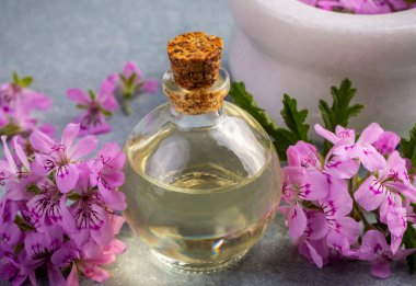 Pelargonium çiçekleri ve temel pelargonyum yağını mezarlığa yerleştirir