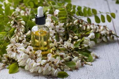 Robinia (sahte akasya) esaslı yağ (çare, özü) şişesi taze akasya çiçekleri ile