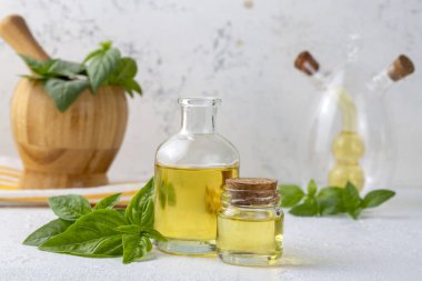 Fesleğen yağı ve taze yapraklar 