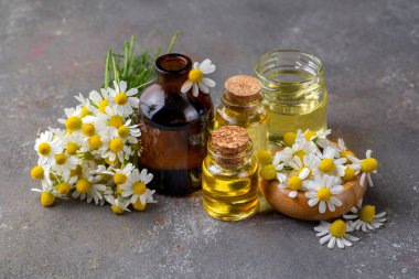 Cam şişedeki temel yağ taze papatya çiçekleri, güzellik tedavisi. Daisy yağı. 