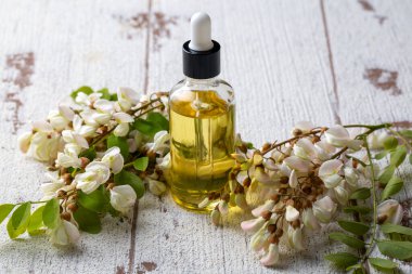 Robinia (sahte akasya) esaslı yağ (çare, özü) şişesi taze akasya çiçekleri ile