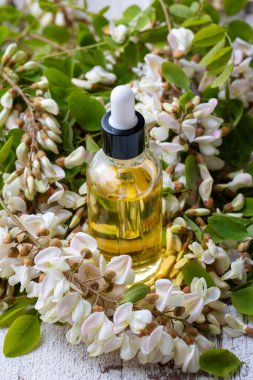 Robinia (sahte akasya) esaslı yağ (çare, özü) şişesi taze akasya çiçekleri ile