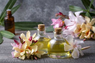 Zakkum bitkisinin temel yağı şişede.