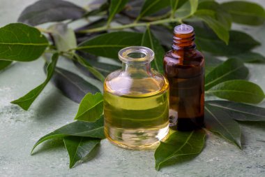 Beyaz arka planda taze yeşil Daphne yağı.