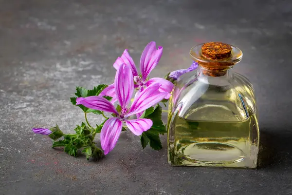 Malva Sylvestris 'in çiçek açması için kullanılması gereken yağ şişesi.