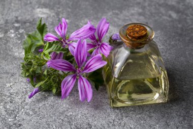 Malva Sylvestris 'in çiçek açması için kullanılması gereken yağ şişesi.