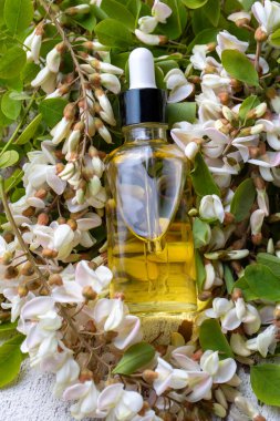 Robinia (sahte akasya) esaslı yağ (çare, özü) şişesi taze akasya çiçekleri ile