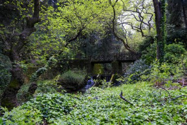 Rodini Parkı, Yunanistan 'ın Rodos kentinden üç kilometre uzaklıktaki bir cennet..