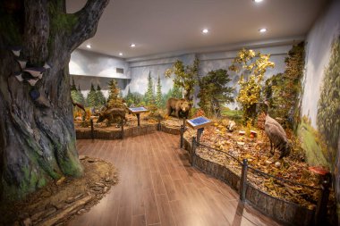 Kalambaka, Meteora, Yunanistan, 16 Şubat 2025, Meteora Doğal Tarih Müzesi ve Mantar Müzesi