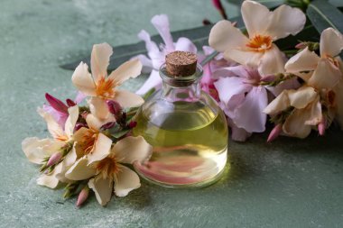 Zakkum bitkisinin temel yağı şişede.