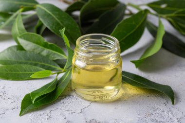 Ahşap kırsal arka planda Daphne yaprakları olan cam defne yağı şişesi. Sağlıklı yaşam tarzı spa, terapi konsepti