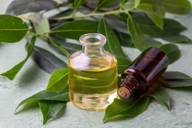 Ahşap kırsal arka planda Daphne yaprakları olan cam defne yağı şişesi. Sağlıklı yaşam tarzı spa, terapi konsepti