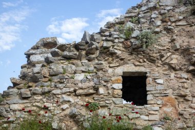 Eski Iasos şehrinin kalıntıları. Kiyikislacik kasabası, Mugla şehri, Türkiye