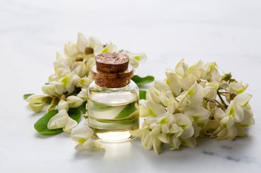Robinia (sahte akasya) esaslı yağ (çare, özü) şişesi taze akasya çiçekleri ile