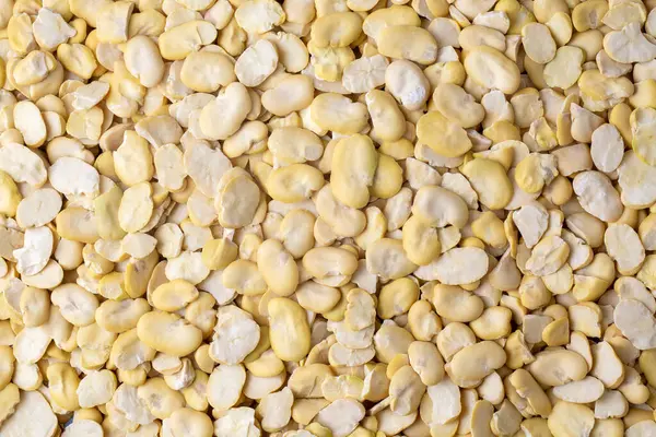 Beyaz arka planda kurumuş fasulye.