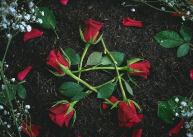 Kırmızı güller kara toprakta bir pentagram oluşturur.