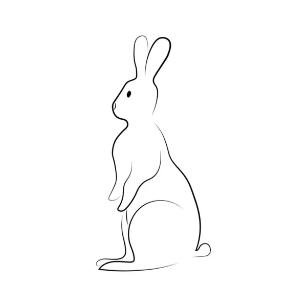 Rabbit Sitting Outline Line Art Isolated White Background Hare 2023 — Stock Vector