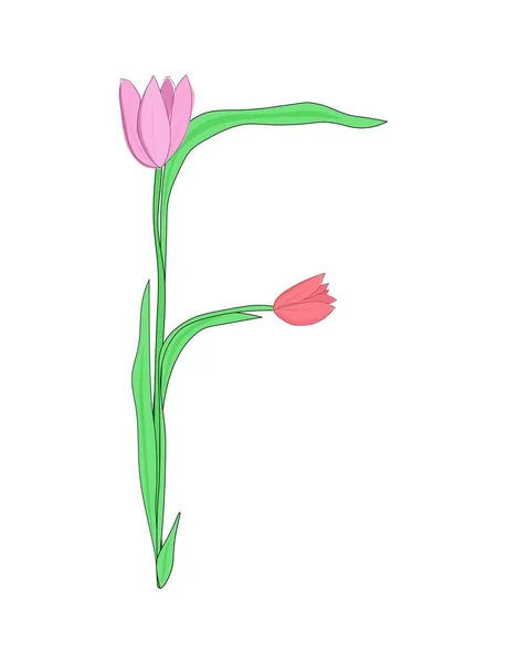 郁金香花的英文字母F 春天母亲节设计用花卉字体 — 图库矢量图片