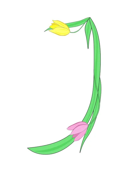 Betű Angol Ábécé Tulipánvirágokból Virágbetűtípus Tavaszra Anyák Napja Design — Stock Vector
