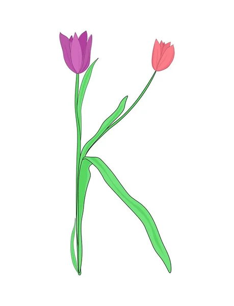Letra Del Alfabeto Inglés Flores Tulipán Fuente Floral Para Diseño — Archivo Imágenes Vectoriales