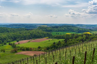 Kraichgau manzarası, Almanya 'nın Toscana' sı, Mayıs ayında Eichelberg, Oestringen 'e bakıyor.