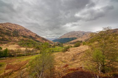 Glenfinnan Viaduct, İskoçya 'nın Inverness-shire eyaletinin Glenfinnan şehrinde yer alan bir demiryolu viyadülüdür..