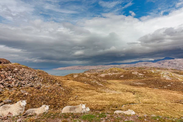 Scénický Pohled Skotskou Vysočinu Jaře Skotsko Velká Británie — Stock fotografie