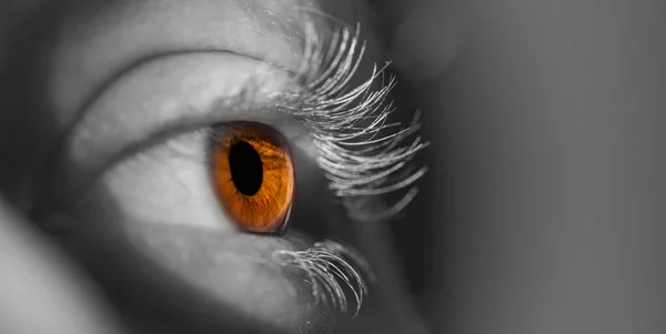Detail of a human brown amber eye, visible iris, woman, colours, flash