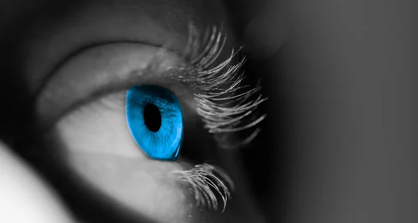 Detail Human Brown Amber Eye Visible Iris Woman Colours Flash – stockfoto