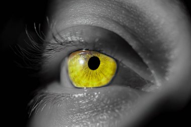 İris gözlü insan. Siyah arkaplanda makro içerisindeki gözbebeği