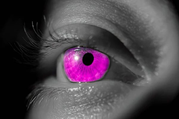 Human iris eye. Pupil in macro on black background