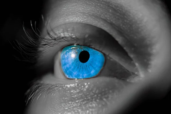 Human iris eye. Pupil in macro on black background