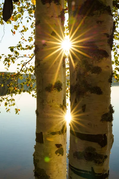 Paysage Panoramique Idyllique Coucher Soleil Lac Suédois — Photo