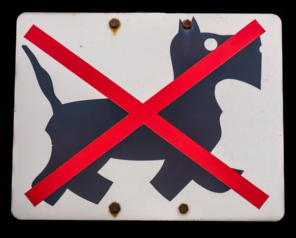 Cartaz Diz Que Não São Permitidos Cães Que Cãozinho Está — Fotografia de Stock