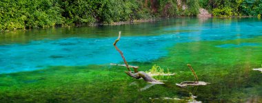 Mavi Göz Arnavutluk, Doğal Bahar, Valbone, Theth, Thethi, Avrupa