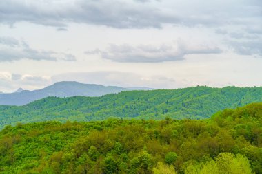 Avrupa 'nın en derin vadisi olan Vikos Boğazı' nın manzarası, Epirus, Yunanistan