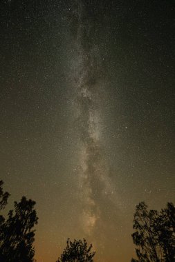 Güzel Samanyolu galaksisinin bir gece gökyüzü ve ağaç bulut, uzun pozlama photograph.with tahıl ile silüeti