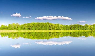 Güzel vahşi doğa parkı, orman. Ayna yansımalı nehir ya da göl güneşli bir günde berrak su. Şaşırtıcı vahşi doğa manzarası..