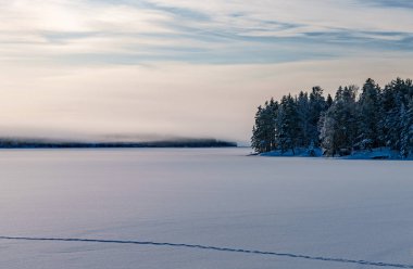 İsveç kış sahnesi, buzlu, karlı, göllü ve bitkilerli. Goran of İsveç