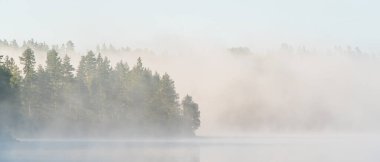 Sisli bir orman, sakin bir su kütlesini sarar, puslu çevreleri ve gizemli, doğal bir manzarası olan sakin bir atmosfer yaratır.