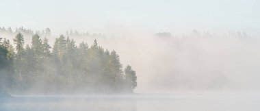 Ön planda ağaçların olduğu sisli bir orman ve arka planda puslu bir gökyüzünün altında bir göl. Atmosferik fenomen gizemli bir doğal manzara yaratır.