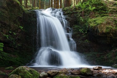 Yoğun bir ormanda, gür yeşilliklerle çevrili sakin bir şelale, akan suyu ve bitkisel hayatıyla ekorejinin doğal güzelliğini arttırır.