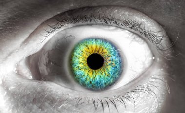 Tek renkli arka planda canlı, gökkuşağı renkli bir iris olan bir insan gözünün yüksek detaylı makro fotoğrafı.