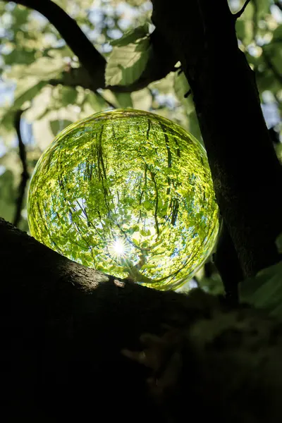 stock image A glass orb captures light and reflections in a serene woodland, creating a magical scene that inspires awe