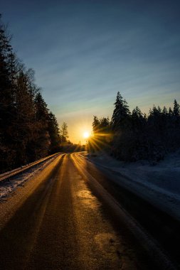 Muhteşem, karla kaplı ağaçlarla çevrili, göz kamaştırıcı altın bir gündoğumuyla aydınlanan güzel bir kış yolu.