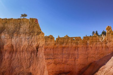 Bryce Canyons 'un göz kamaştırıcı güzelliğini keşfedin. Canlı kaya oluşumları ve çevresini saran yemyeşil alanlar.