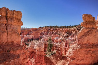 Bryce Canyons 'un göz kamaştırıcı güzelliğini keşfedin. Canlı kaya oluşumları ve çevresini saran yemyeşil alanlar.